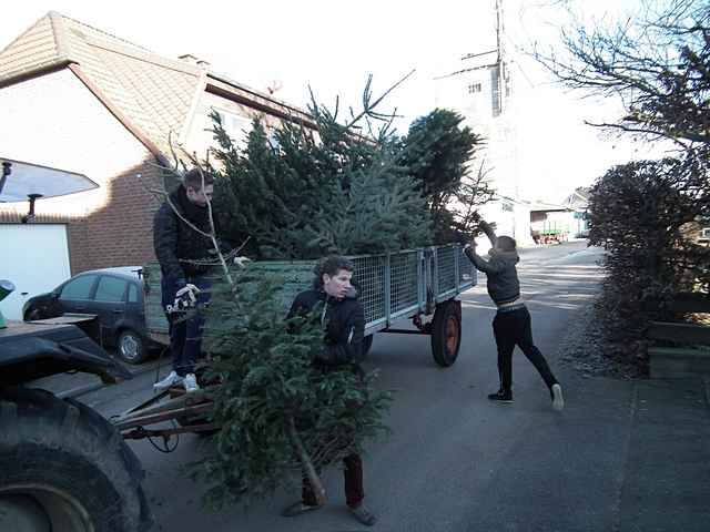 Weihnachtsbaum-Sammlung 2013