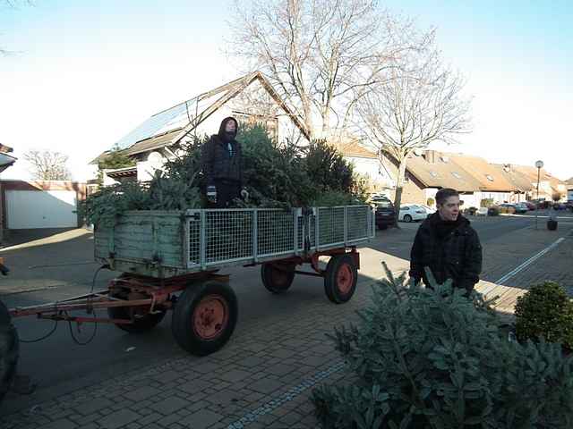 Weihnachtsbaum-Sammlung 2013