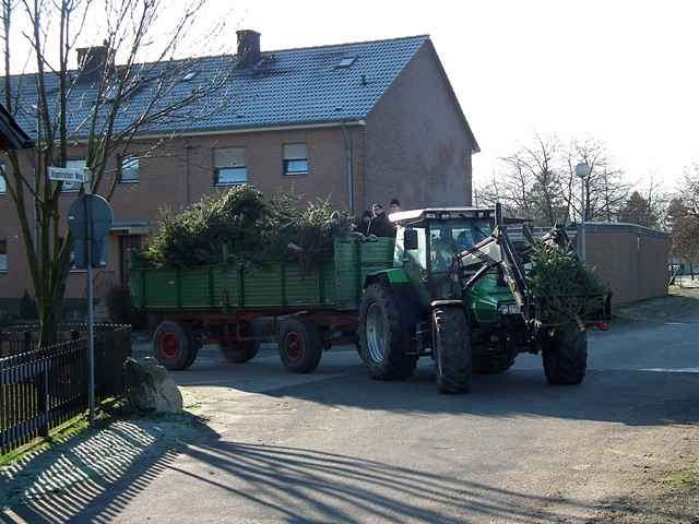 Weihnachtsbaum-Sammlung 2013