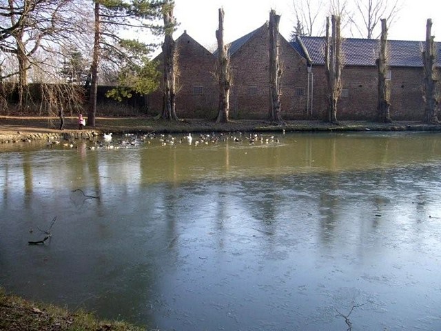 Winter im Park