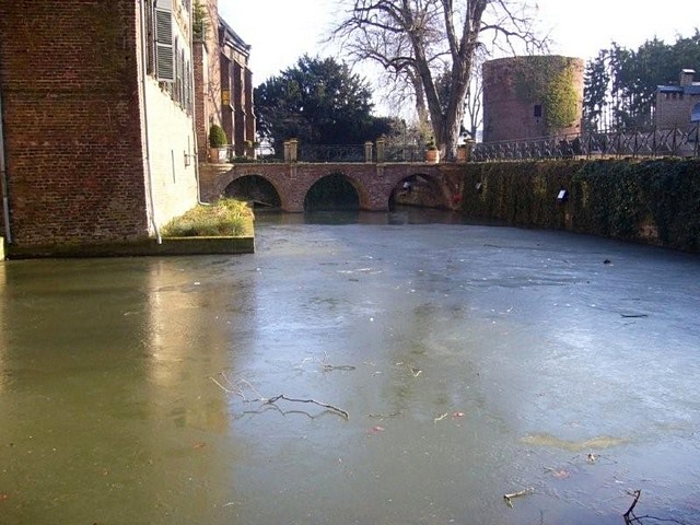 Winter im Park