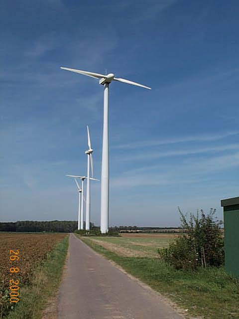 Windrder bei Dorsfeld