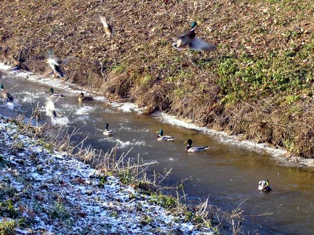 Winter 2006