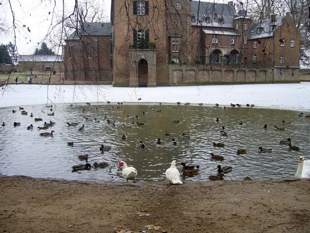 Winter im Park