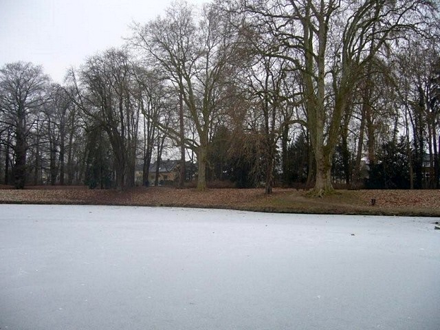 Winter im Park