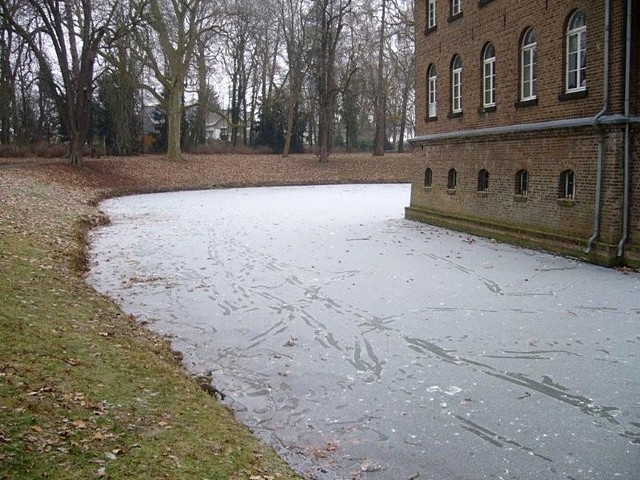 Winter im Park