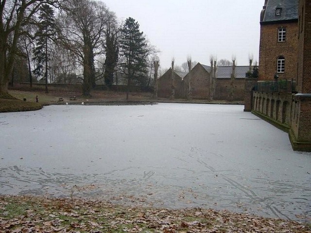 Winter im Park