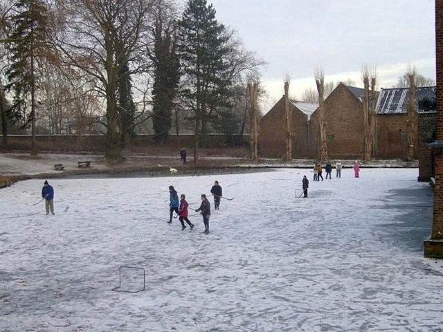 Winter im Park