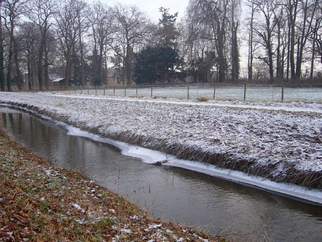 Winter im Park