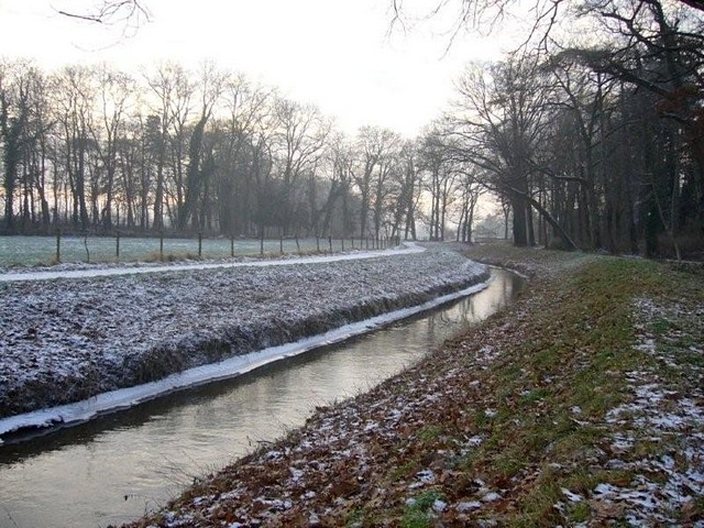 Winter im Park