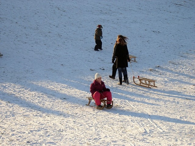 Schlitten fahren