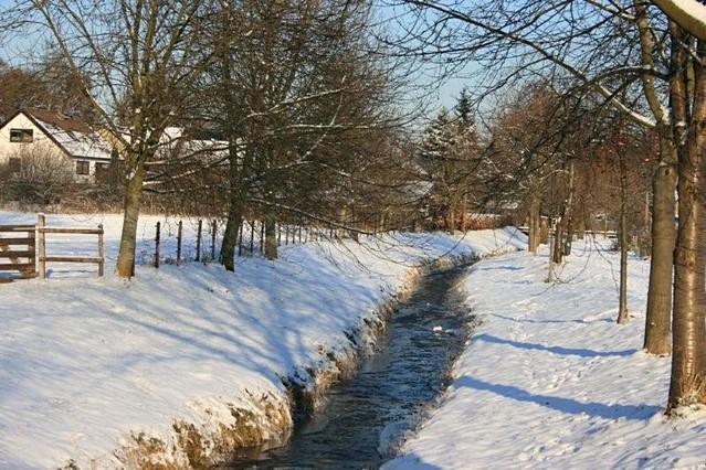 Winter 2009