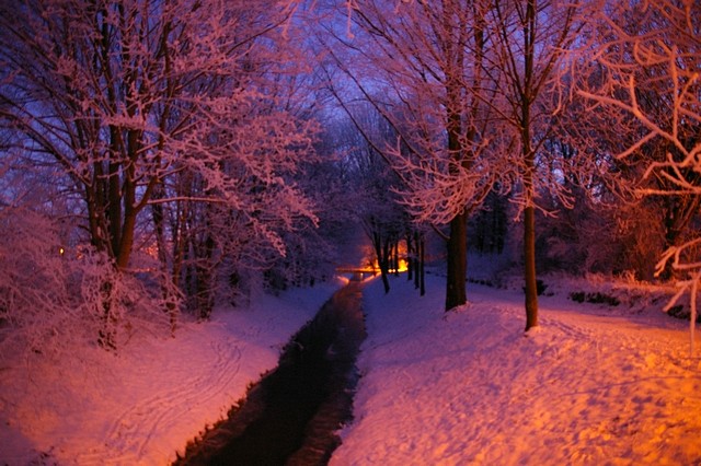 Winter 2009