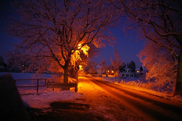 Winter 2009