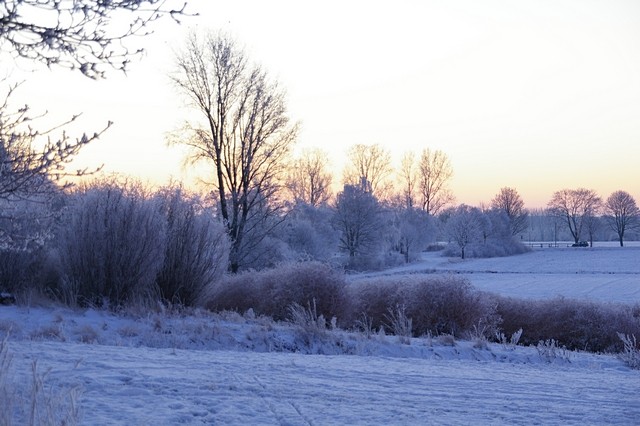 Winter 2009