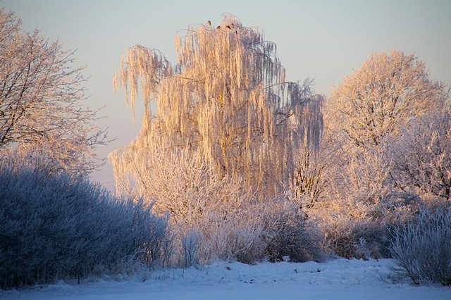 Winter 2009