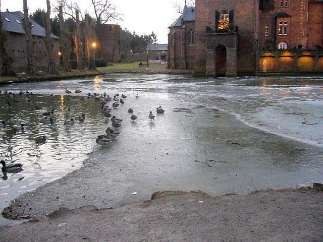 Winter 2009