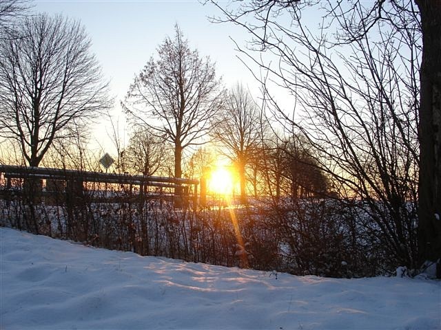 Winter 2009