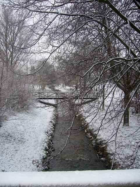 Winter 2010