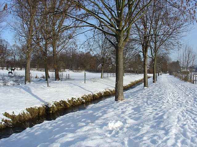 Winter 2010