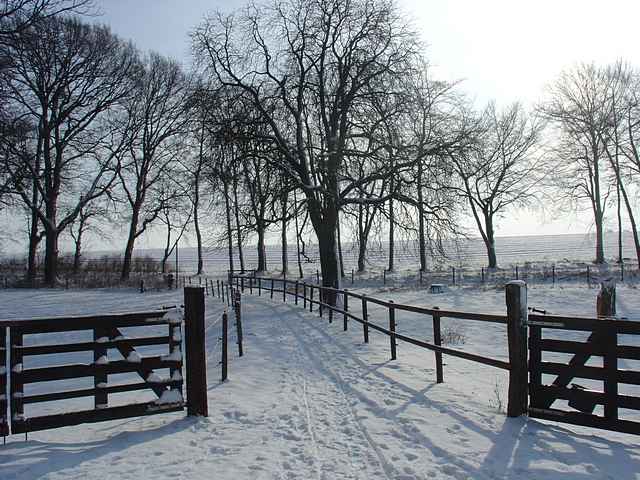 Winter 2010