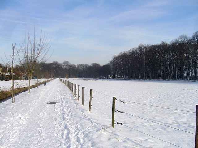 Winter 2010