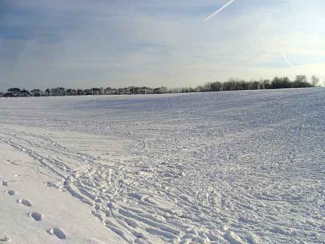 Winter 2010