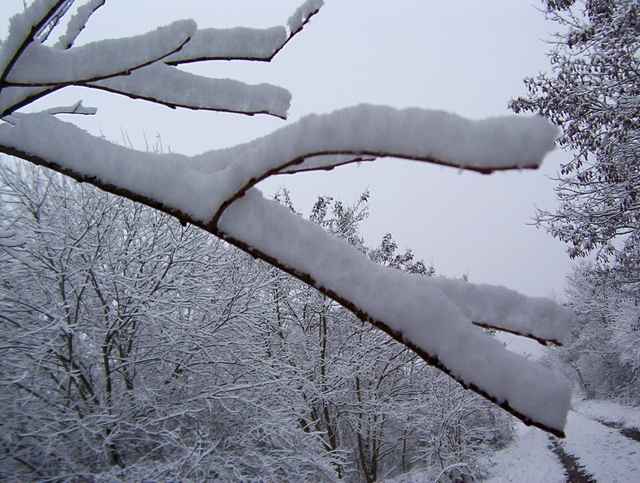 Winter 2010