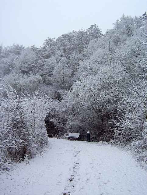 Winter 2010