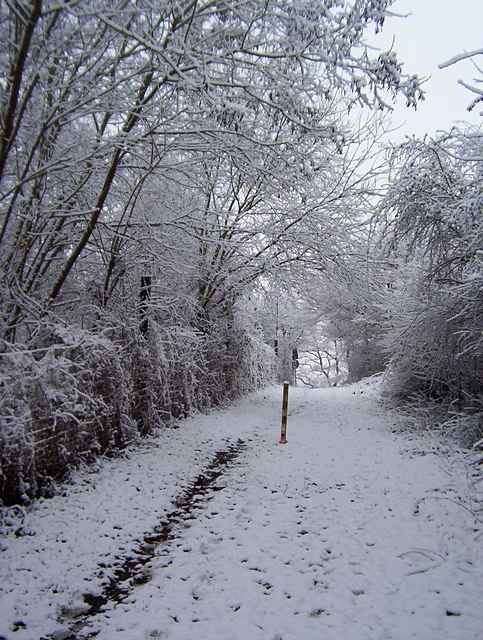 Winter 2010