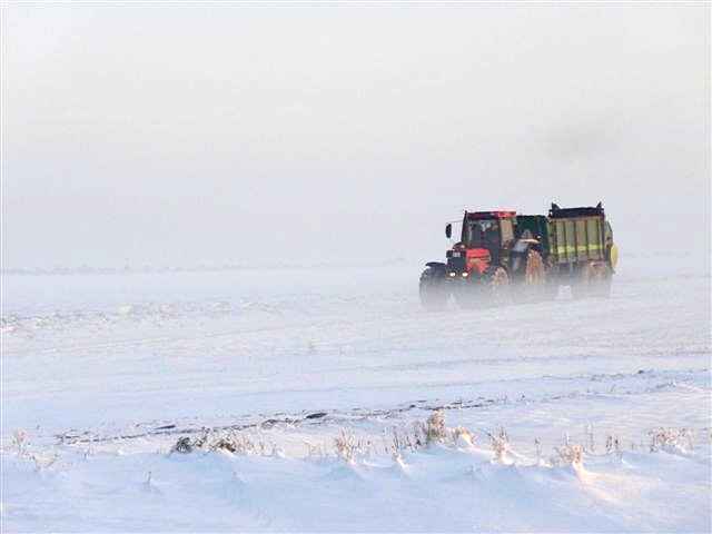 Der erste Schnee 2012