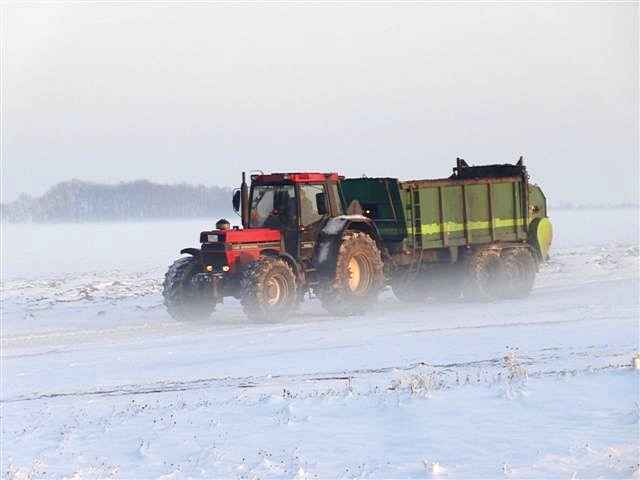 Der erste Schnee 2012