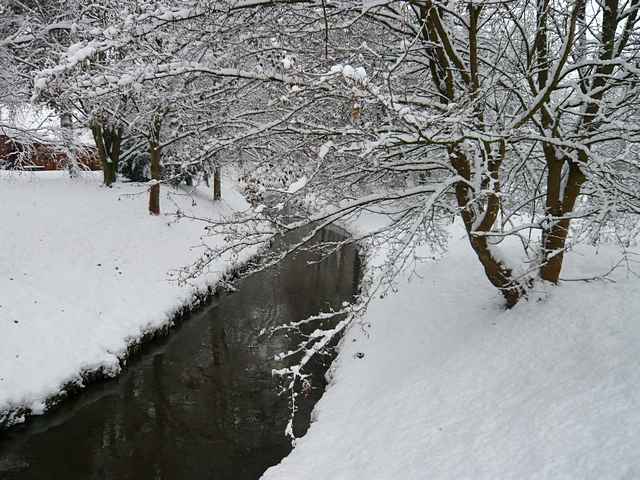 Winterbilder