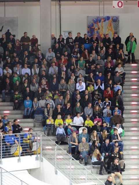 Tigers bei Telekom-Baskets