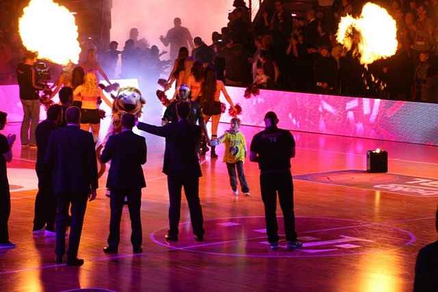 Tigers bei Telekom-Baskets