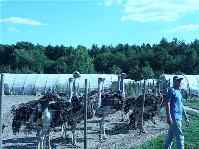 Ausflug der Caritas