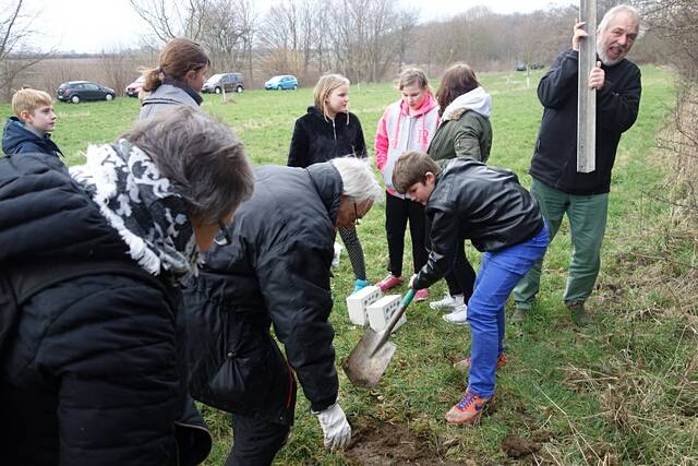 Aufstellen des Wildbienen-Hauses