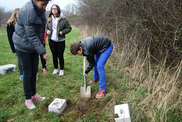 Aufstellen des Wildbienen-Hauses