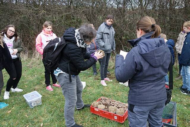 Aufstellen des Wildbienen-Hauses