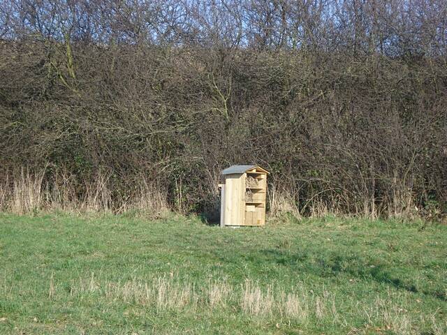 Aufstellen des Wildbienen-Hauses