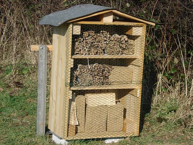 Aufstellen des Wildbienen-Hauses