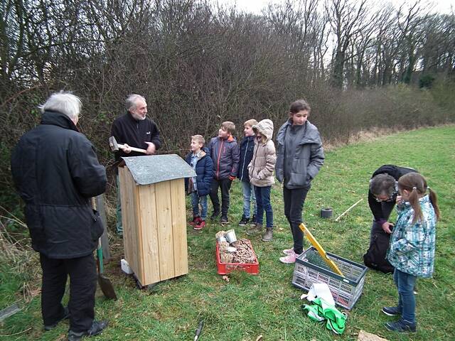 Aufstellen des Wildbienen-Hauses