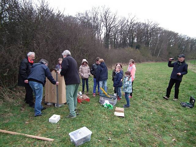 Aufstellen des Wildbienen-Hauses