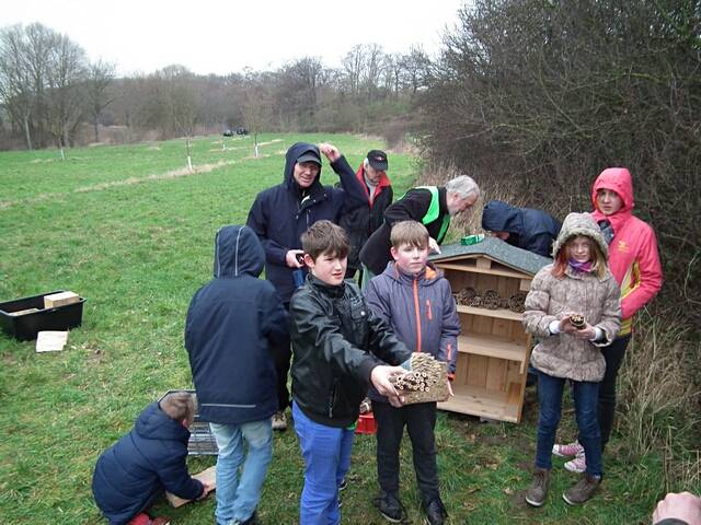 Aufstellen des Wildbienen-Hauses