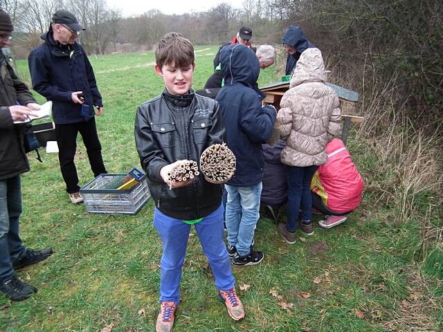 Aufstellen des Wildbienen-Hauses