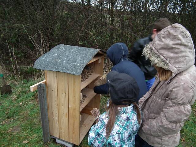 Aufstellen des Wildbienen-Hauses