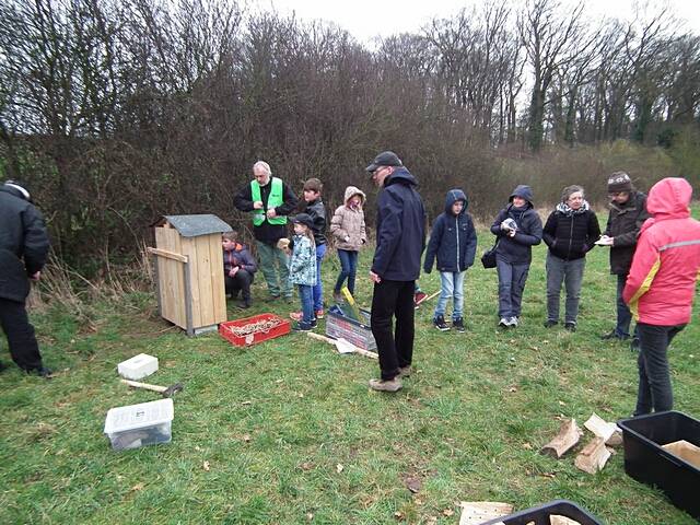 Aufstellen des Wildbienen-Hauses