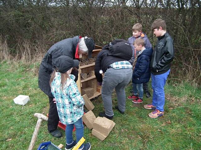 Aufstellen des Wildbienen-Hauses