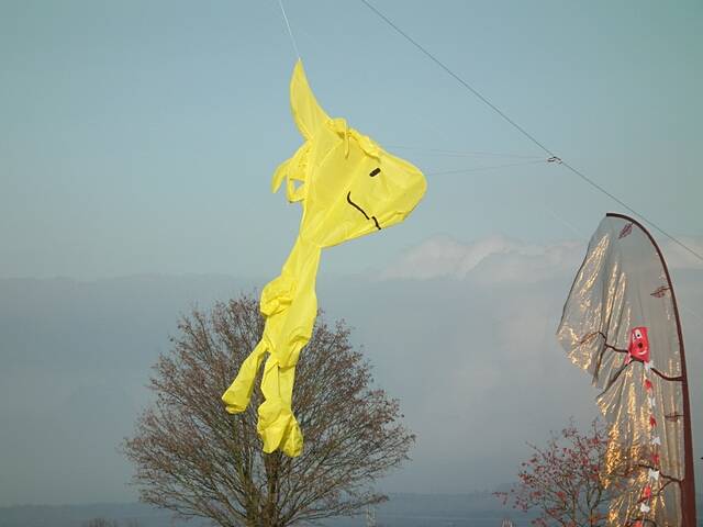 Drachenfliegen bei Gut Giffelsberg