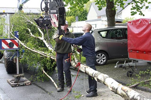 Maibaum der Feuerwehr